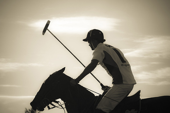 Palm Beach Polo-45
