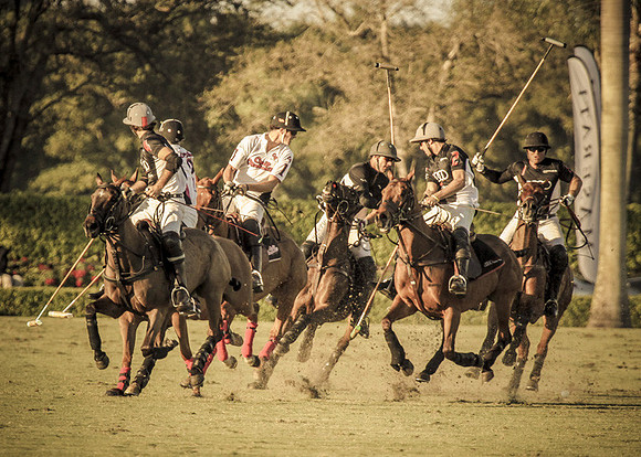 Palm Beach Polo-47