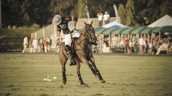 Palm Beach Polo-49