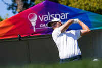 Valspar 2026-831