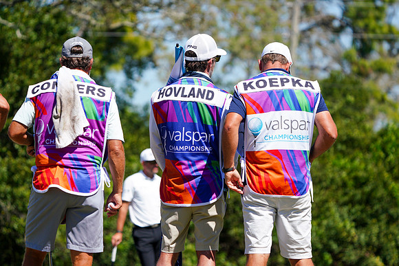 Valspar 2026-1184
