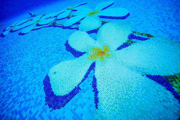 Water Pik Maui 2022-122