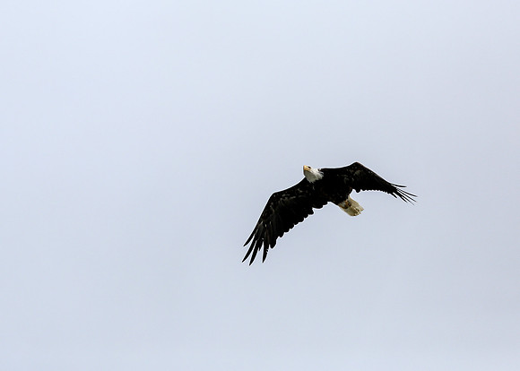 Alaska Trip 2016-278