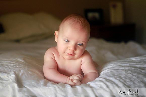 Baby portraits