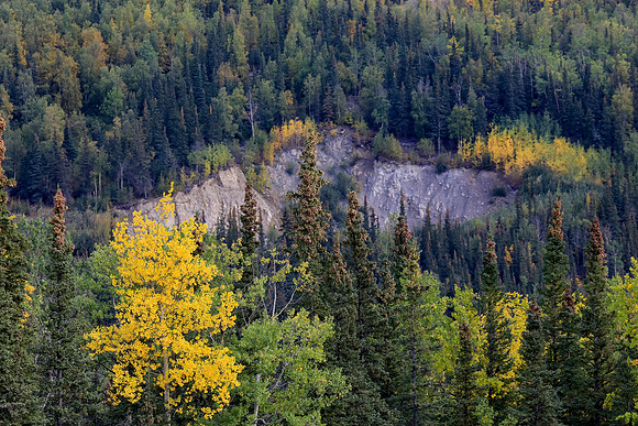 Alaska Trip 2016-403