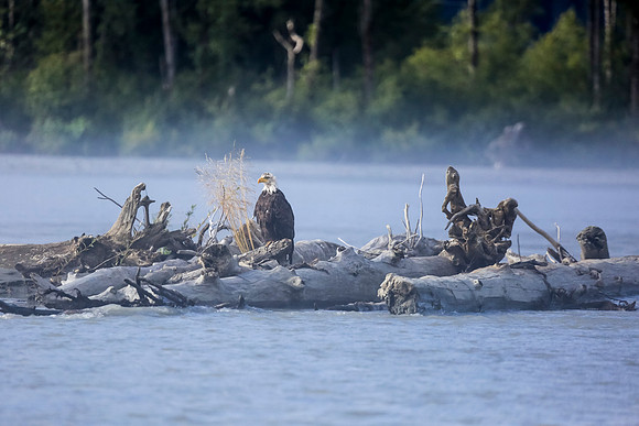 Alaska Trip 2016-260
