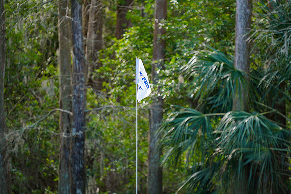 Valspar Championship 2023-1296