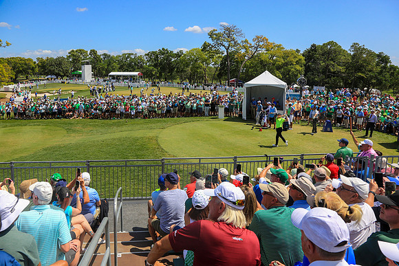 Valspar Championship 2023-515