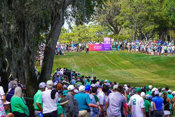 Valspar Championship 2023-1962