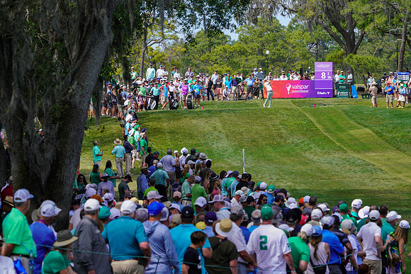 Valspar Championship 2023-1942