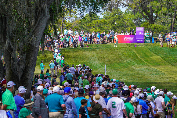 Valspar Championship 2023-1964