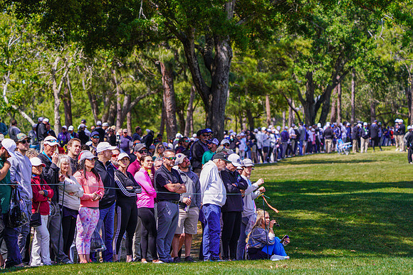 Valspar Championship 2023-1866