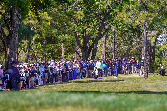 Valspar Championship 2023-1872