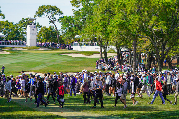 Valspar Championship 2023-1884