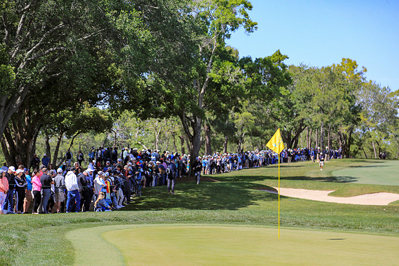 Valspar Championship 2023-691