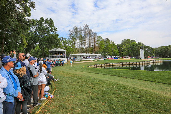 Valspar Championship 2023-699