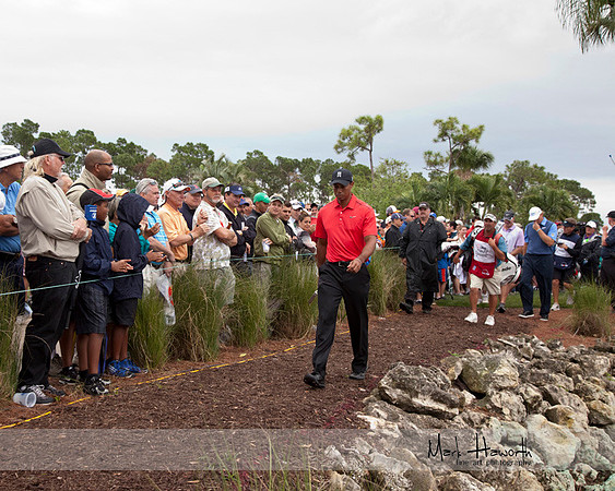 Honda Classic 2012