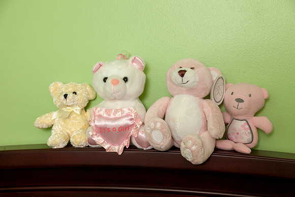 ADT Askenazi Family-029