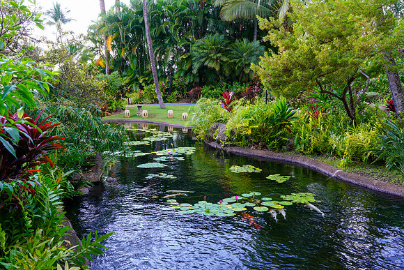 Water Pik Maui 2022-003