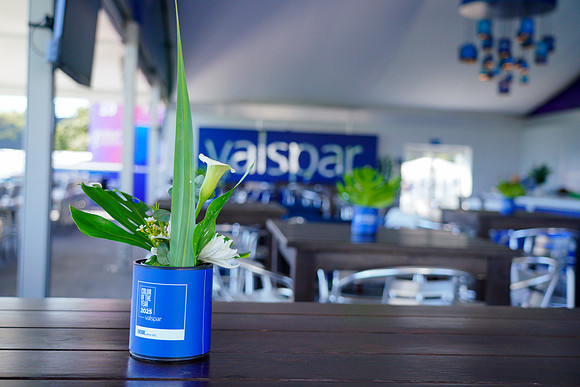 Valspar-494