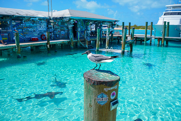 Bahamas-041