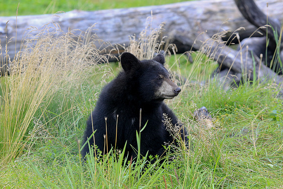 Alaska Trip 2016-313