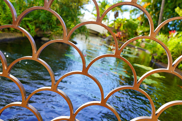 Water Pik Maui 2022-225