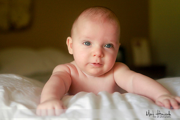 Baby portraits