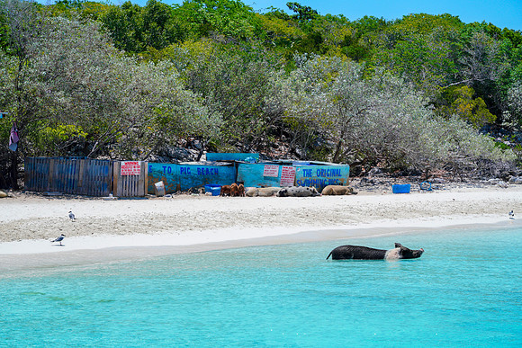 Bahamas-079