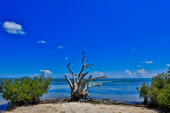 Marathon FL-005