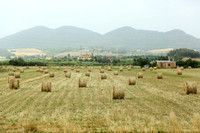 Rome-31