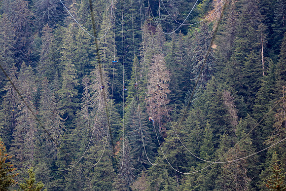 Alaska Trip 2016-165