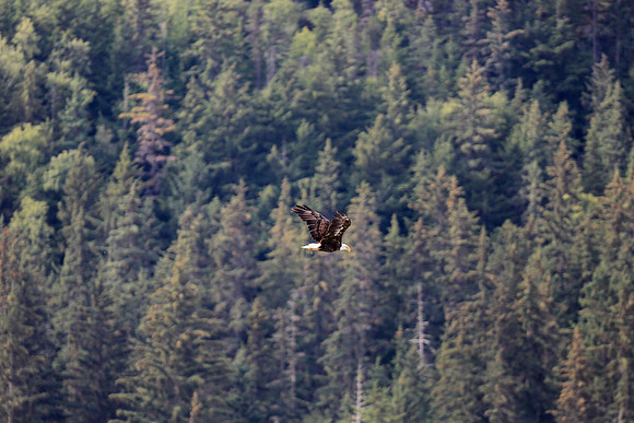 Alaska Trip 2016-271