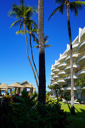 Water Pik Maui 2022-096