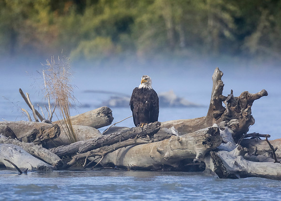 Alaska Trip 2016-262