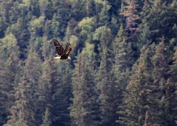 Alaska Trip 2016-269