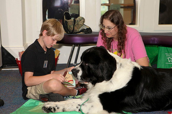 Patterson Event WP Library 024