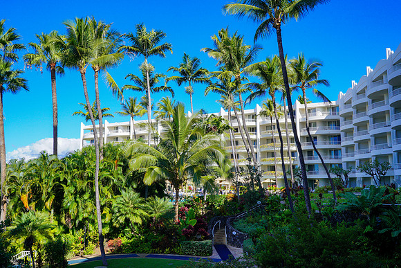 Water Pik Maui 2022-034