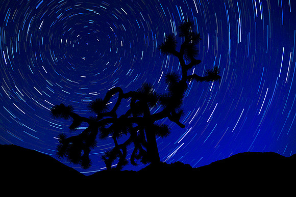 Palm Springs Star Trials