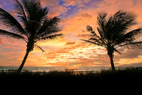 Sunrise-008