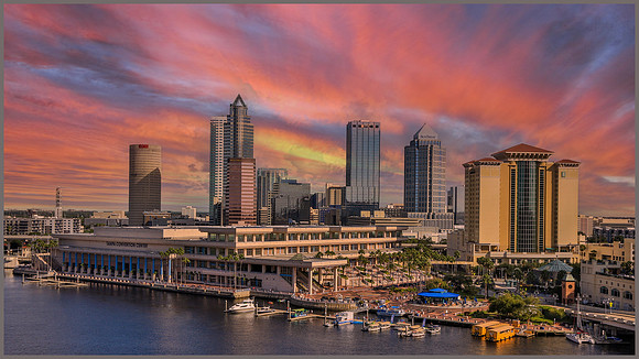 Tampa-082 copy