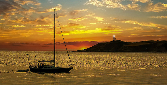 whale watching sunrise-003