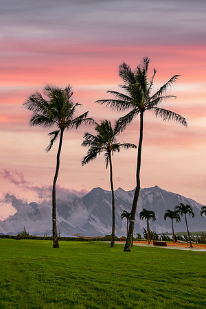 Ritz Maui-012 copy