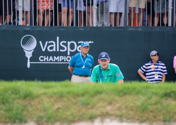 Valspar 2018-133