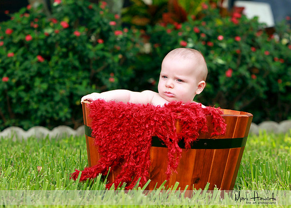 Baby portraits