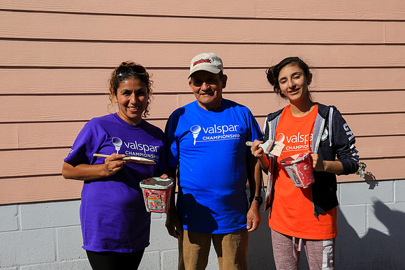 Valspar 2018-049