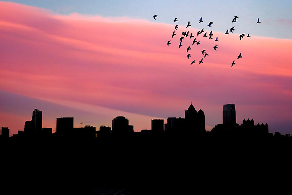 Atlanta-011
