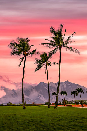 Maui-038