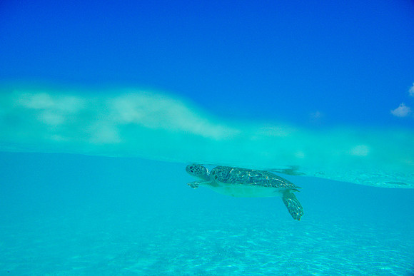 Bahamas-112