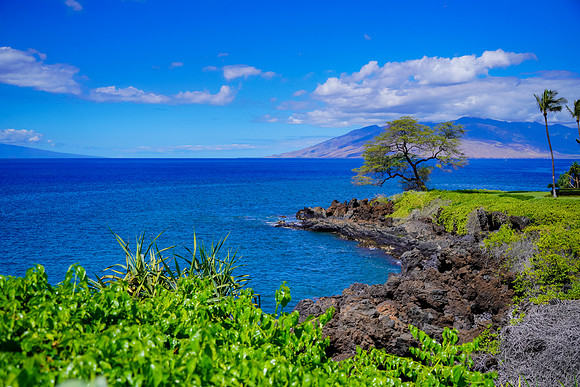 Water Pik Maui 2022-030
